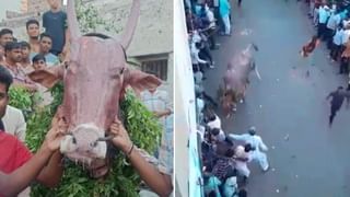 CM Siddaramaiah; ರೈತರಿಗೆ ಬಿತ್ತನೆ ಬೀಜ, ರಸಗೊಬ್ಬರ ಅಡಚಣೆಯಿಲ್ಲದೆ ಲಭ್ಯವಾಗಿಸುವಂತೆ ಡಿಸಿಗಳಿಗೆ ಸೂಚಿಸಲಾಗಿದೆ: ಸಿದ್ದರಾಮಯ್ಯ, ಮುಖ್ಯಮಂತ್ರಿ