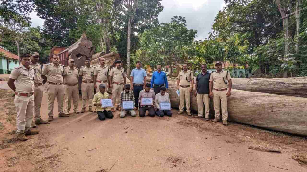 Uttara Kannada: ದುಬಾರಿ ಮರದ ದಿಮ್ಮಿಗಳ ಅಕ್ರಮ ಸಾಗಾಟ ಪ್ರಕರಣ: ಐವರು ಡಿಆರ್​ಎಫ್​​​​​ಒಗಳ ಅಮಾನತು