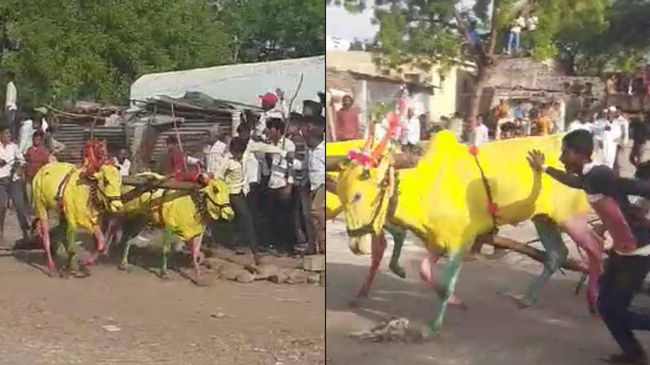 ಕಲಬುರಗಿ ಜಿಲ್ಲೆಯಲ್ಲಿ ಕಾರ ಹುಣ್ಣಿಮೆ ಅಂಗವಾಗಿ ಗ್ರಾಮಸ್ಥರು ಎತ್ತಿನ ಬಂಡಿ ಸ್ಪರ್ಧೆ  ಆಯೋಜಿಸಿದ್ದರು. 
ಆ ಮೂಲಕ ರೈತರು ಹಬ್ಬ ಆಚರಿಸಿ ಸಂಭ್ರಮಿಸಿದರು. 
 