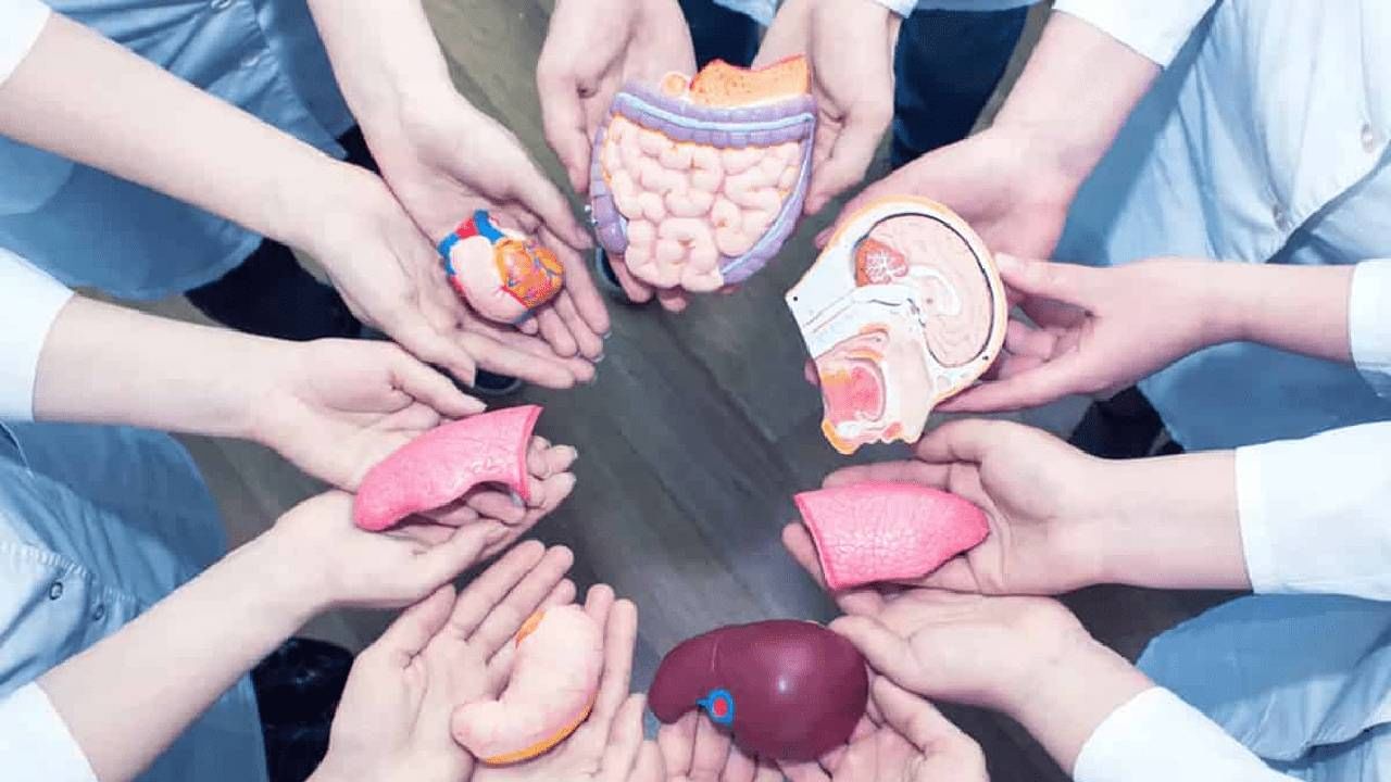 Bengaluru News: ಸಾವಿನಲ್ಲೂ ಸಾರ್ಥಕತೆ ಮೆರೆದ ಯುವಕ: 6 ಜನರಿಗೆ ಮರುಜನ್ಮ