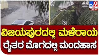 ನಾಯಿಯನ್ನು ಹೊತೊಯ್ದಿದ್ದ ಮನೆಗೆ ಮತ್ತೆ ಬಂದ ಚಿರತೆ: ರಾಜ ಗಾಂಭೀರ್ಯ ನಡಿಗೆ ಸಿಸಿ ಟಿವಿಯಲ್ಲಿ ಸೆರೆ