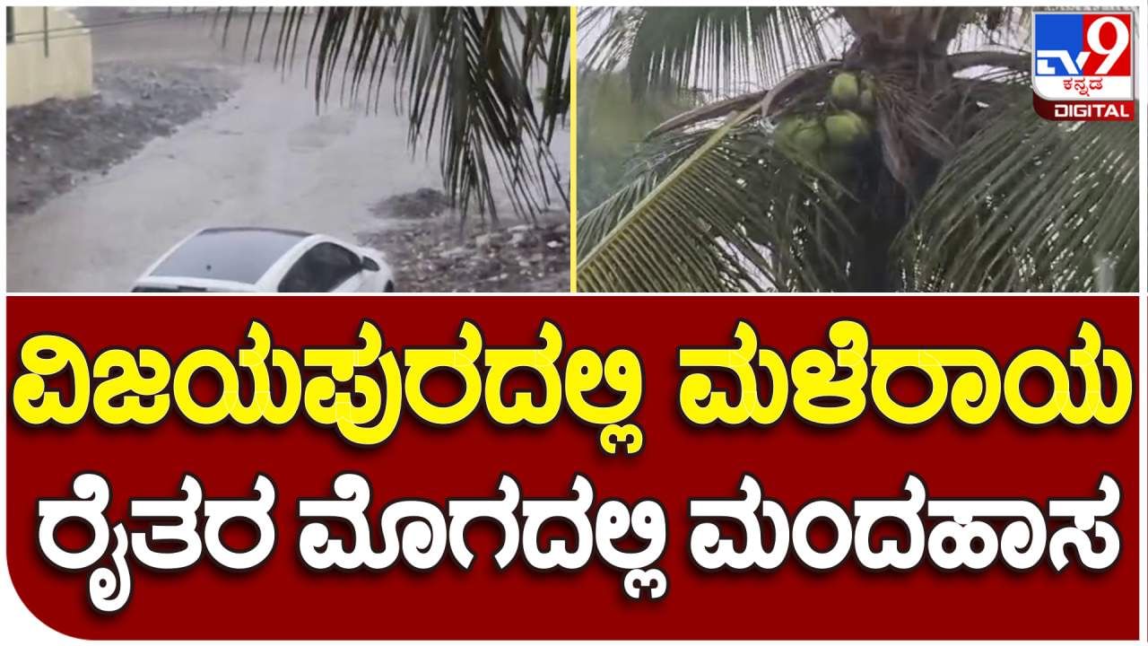 Video: ಕಾರ ಹುಣ್ಣಿಮೆಯ ದಿನವೇ ಸುರಿದ ಮಳೆ: ಅನ್ನದಾತರಲ್ಲಿ ಸಂತಸ