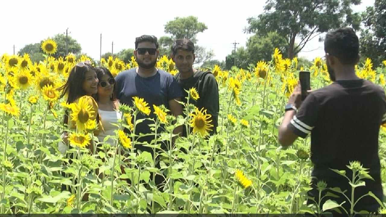 ಫೋಟೋ ಕ್ಲಿಕ್ಕಿಸಿಕೊಳ್ಳಲು ಬರುತ್ತಿರುವ ಪ್ರತಿಯೊಬ್ಬರಿಗೂ 10 ರೂ ಸಂಗ್ರಹ ಮಾಡುತ್ತಿರುವ ಜಮೀನು ಮಾಲೀಕ.