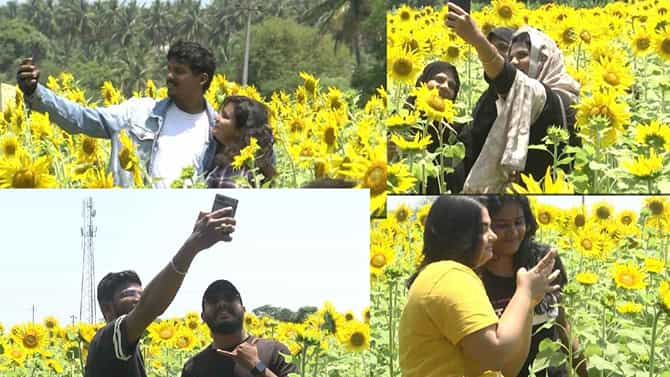 ಸೂರ್ಯಕಾಂತಿ ಜೊತೆ ಫೋಟೋಗಾಗಿ ಮುಗಿಬಿದ್ದ ಜನ, ಲಾಸ್ ತುಂಬಿಕೊಳ್ಳಲು‌ ಹೊಸ ಐಡಿಯಾ ಕಂಡುಕೊಂಡ ರೈತ