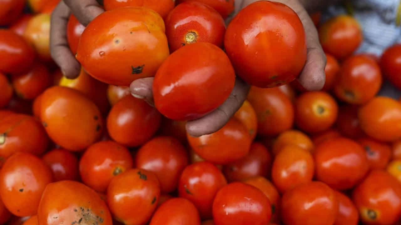 ಟೊಮೆಟೊ ದರ ಏರಿಕೆ; ಎಫ್ಎಫ್ಒಗಳಲ್ಲಿ ಸಬ್ಸಿಡಿ ದರದಲ್ಲಿ ಮಾರಾಟ ಮಾಡಲು ನಿರ್ಧರಿಸಿದ ತಮಿಳುನಾಡು ಸರ್ಕಾರ ಟೊಮೆಟೊ ದರ ಏರಿಕೆ; ಎಫ್ಎಫ್ಒಗಳಲ್ಲಿ ಸಬ್ಸಿಡಿ ದರದಲ್ಲಿ ಮಾರಾಟ ಮಾಡಲು ನಿರ್ಧರಿಸಿದ ತಮಿಳುನಾಡು ಸರ್ಕಾರ