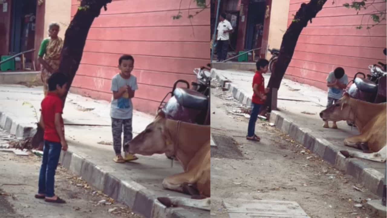 Viral Video: ಪುಟ್ಟ ಮಕ್ಕಳಿಬ್ಬರು ಗೋಮಾತೆಯನ್ನು ನಮಸ್ಕರಿಸುವ ಪರಿ, ಸಂಸ್ಕಾರವೆಂದರೆ ಇದೇ ಅಲ್ಲವೇ ಎಂದ ನೆಟ್ಟಿಗರು Viral Video: ಪುಟ್ಟ ಮಕ್ಕಳಿಬ್ಬರು ಗೋಮಾತೆಯನ್ನು ನಮಸ್ಕರಿಸುವ ಪರಿ, ಸಂಸ್ಕಾರವೆಂದರೆ ಇದೇ ಅಲ್ಲವೇ ಎಂದ ನೆಟ್ಟಿಗರು