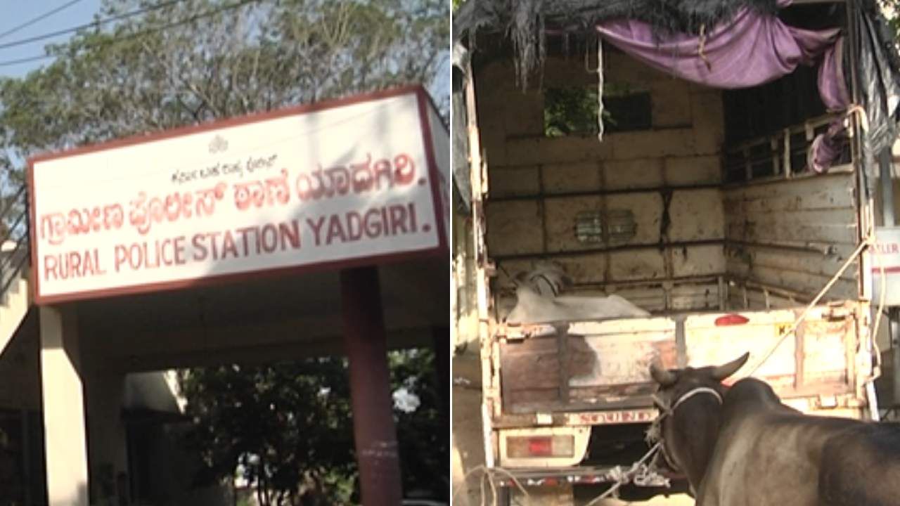 Yadgir News: ಜಾನುವಾರುಗಳನ್ನು ಕದ್ದು ಸಾಗಿಸುತ್ತಿದ್ದ 8 ಆರೋಪಿಗಳ ಬಂಧನ: ಕರುಗಳು ಸೇರಿ 25 ಹಸುಗಳ ರಕ್ಷಣೆ