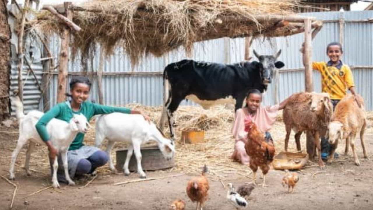 ಯಾವುದೇ ಗ್ಯಾರಂಟಿ ಇಲ್ಲದೆ ಪಶು ಕಿಸಾನ್ ಕ್ರೆಡಿಟ್ ಕಾರ್ಡ್ ಪ್ರಯೋಜನ ಪಡೆಯಬೇಕಾ? ನೋಂದಣಿ ಪ್ರಕ್ರಿಯೆ ವಿವರಗಳು ಇಲ್ಲಿವೆ ಓದಿ ಯಾವುದೇ ಗ್ಯಾರಂಟಿ ಇಲ್ಲದೆ ಪಶು ಕಿಸಾನ್ ಕ್ರೆಡಿಟ್ ಕಾರ್ಡ್ ಪ್ರಯೋಜನ ಪಡೆಯಬೇಕಾ? ನೋಂದಣಿ ಪ್ರಕ್ರಿಯೆ ವಿವರಗಳು ಇಲ್ಲಿವೆ ಓದಿ