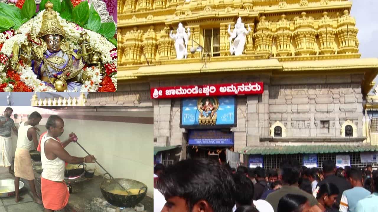 Chamundeshwari temple: ನಾಳೆ ಆಷಾಢದ ಮೊದಲ ಶುಕ್ರವಾರ, ಅಧಿದೇವತೆ ಚಾಮುಂಡೇಶ್ವರಿಗೆ ವಿಶೇಷ ಪೂಜೆ, ಸಿದ್ಧತೆಗಳು ಹೀಗಿವೆ Chamundeshwari temple: ನಾಳೆ ಆಷಾಢದ ಮೊದಲ ಶುಕ್ರವಾರ, ಅಧಿದೇವತೆ ಚಾಮುಂಡೇಶ್ವರಿಗೆ ವಿಶೇಷ ಪೂಜೆ, ಸಿದ್ಧತೆಗಳು ಹೀಗಿವೆ