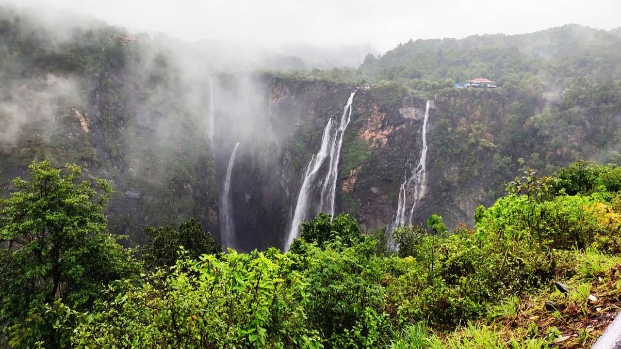 ಮೋಡದ ನಡುವೆ ಧುಮುಕುತ್ತಿರುವ ಜಲಪಾತವನ್ನ ಕಣ್ತುಂಬಿಕೊಳ್ಳಲು ಪ್ರವಾಸಿಗರ ದಂಡೆ ಜೋಗ​ ಫಾಲ್ಸ್​ಗೆ ಬರುತ್ತಿದೆ.