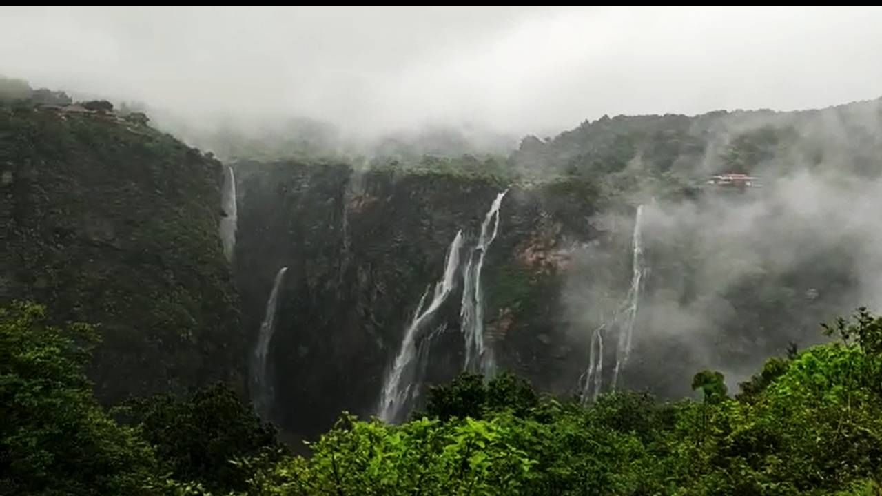 ಮಳೆಗಾಲ ಶುರುವಾಗುತ್ತಿದ್ದಂತೆ ವಿಶ್ವ ವಿಖ್ಯಾತ ಜೋಗ್ ಫಾಲ್ಸ್​(Jog Falls)ನ ಸೌಂದರ್ಯ ಇಮ್ಮಡಿಯಾಗುತ್ತಿದೆ.