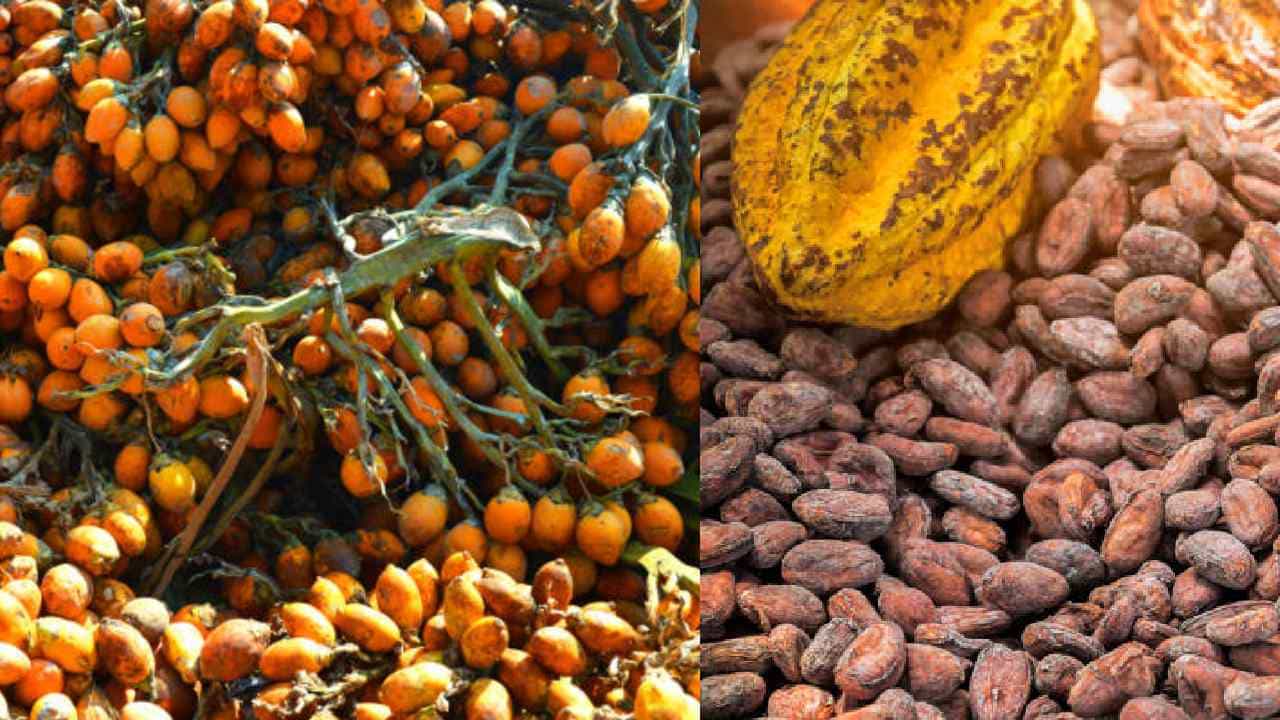 Arecanut Price 7 July: ಇಂದಿನ ಅಡಿಕೆ ಧಾರಣೆ, ಪ್ರಮುಖ ಮಾರುಕಟ್ಟೆಗಳಲ್ಲಿ ಅಡಿಕೆ ದರ ಹೀಗಿದೆ Arecanut Price 7 July: ಇಂದಿನ ಅಡಿಕೆ ಧಾರಣೆ, ಪ್ರಮುಖ ಮಾರುಕಟ್ಟೆಗಳಲ್ಲಿ ಅಡಿಕೆ ದರ ಹೀಗಿದೆ