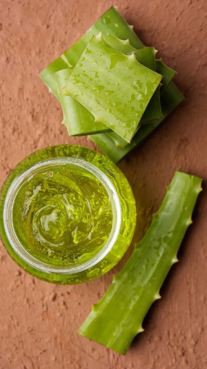 Aloe vera (1)