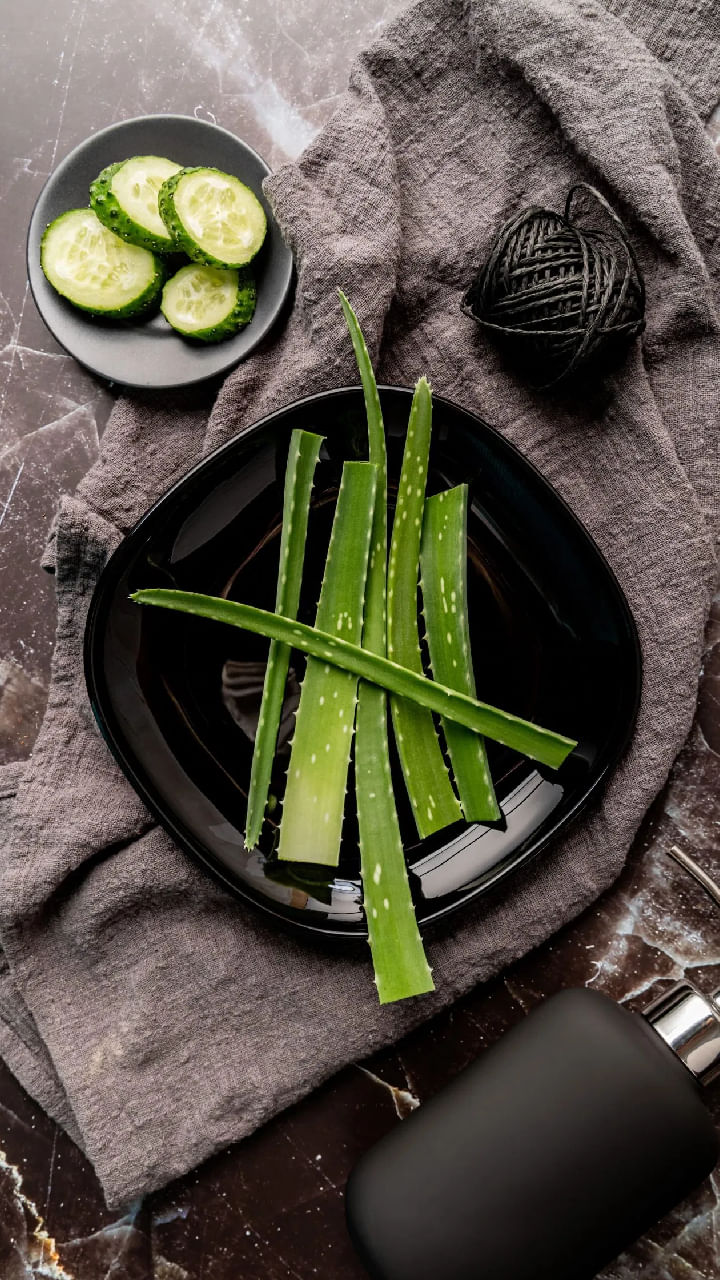 Aloe vera (2)