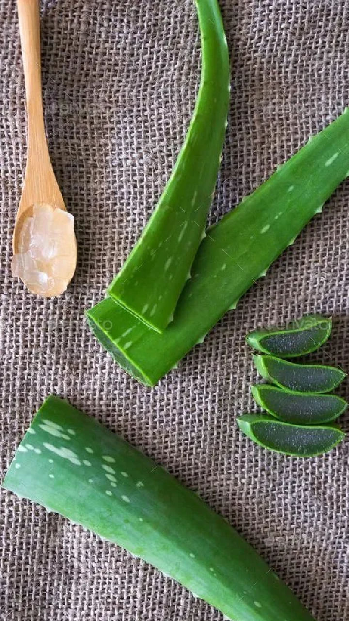 Aloe vera (3)