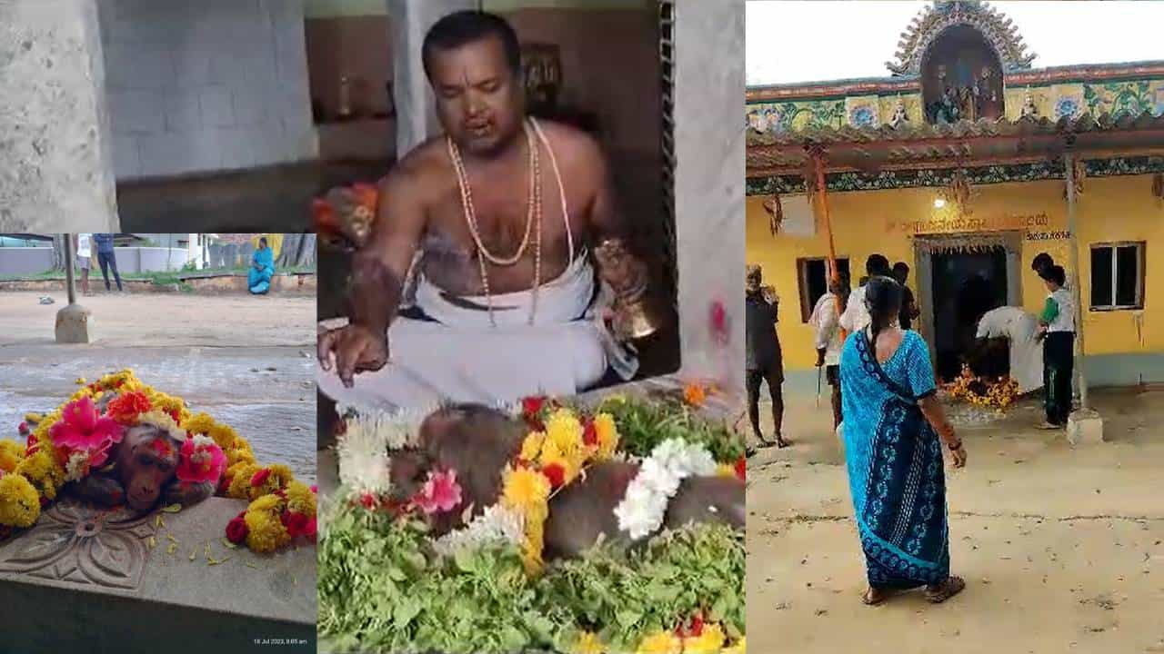 Anekal: ವೀರಾಂಜನೇಯ ಸ್ವಾಮಿಗೆ ನಮಿಸಿ ಪ್ರಾಣಬಿಟ್ಟ ಕೋತಿ Anekal: ವೀರಾಂಜನೇಯ ಸ್ವಾಮಿಗೆ ನಮಿಸಿ ಪ್ರಾಣಬಿಟ್ಟ ಕೋತಿ