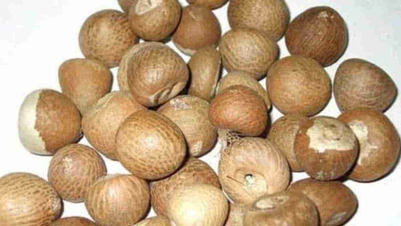 Arecanut Price 12 July: ಇಂದಿನ ಅಡಿಕೆ ಧಾರಣೆ, ಪ್ರಮುಖ ಮಾರುಕಟ್ಟೆಯಲ್ಲಿನ ಅಡಿಕೆ ದರ ಹೀಗಿದೆ