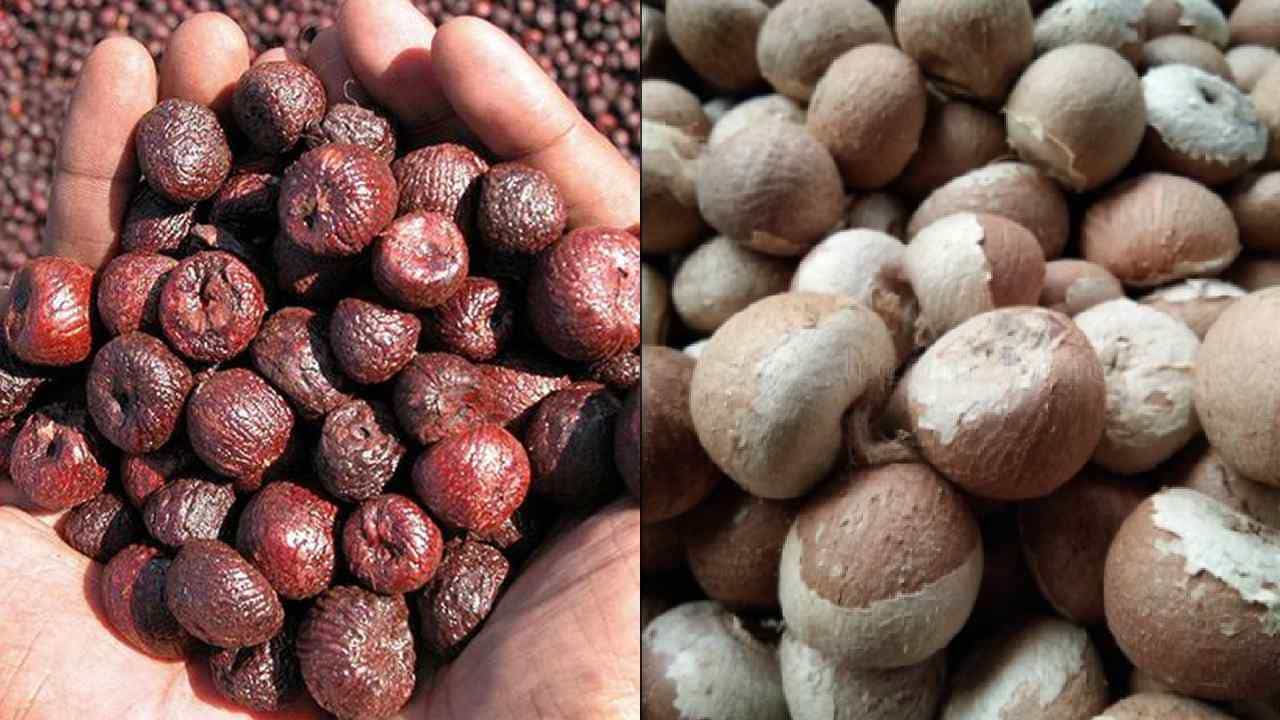 Arecanut Pirce 20 July: ಇಂದಿನ ಅಡಿಕೆ ರೇಟ್, ಯಾವ ಮಾರುಕಟ್ಟೆಯಲ್ಲಿ ಅಡಿಕೆ ಧಾರಣೆ ಎಷ್ಟಿದೆ? Arecanut Pirce 20 July: ಇಂದಿನ ಅಡಿಕೆ ರೇಟ್, ಯಾವ ಮಾರುಕಟ್ಟೆಯಲ್ಲಿ ಅಡಿಕೆ ಧಾರಣೆ ಎಷ್ಟಿದೆ?