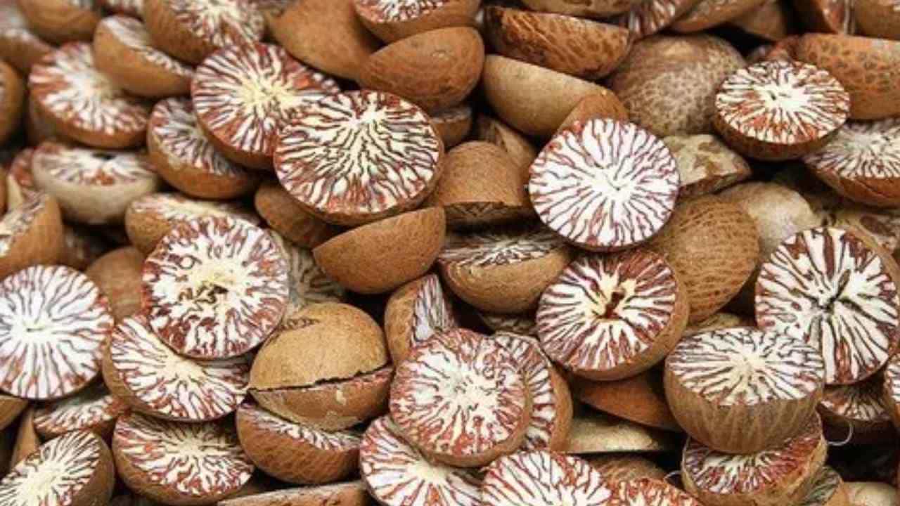 Arecanut Price 5 July: ಇಂದಿನ ಅಡಿಕೆ ಧಾರಣೆ; ವಿವಿಧ ಮಾರುಕಟ್ಟೆಯಲ್ಲಿನ ಅಡಿಕೆ ದರ ಹೀಗಿದೆ Arecanut Price 5 July: ಇಂದಿನ ಅಡಿಕೆ ಧಾರಣೆ; ವಿವಿಧ ಮಾರುಕಟ್ಟೆಯಲ್ಲಿನ ಅಡಿಕೆ ದರ ಹೀಗಿದೆ