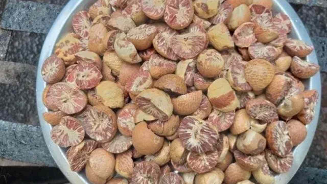 Arecanut Price 17 July: ಇಂದಿನ ಅಡಿಕೆ ಧಾರಣೆ, ಪ್ರಮುಖ ಮಾರುಕಟ್ಟೆಗಳಲ್ಲಿ ಅಡಿಕೆ ದರ ಹೀಗಿದೆ Arecanut Price 17 July: ಇಂದಿನ ಅಡಿಕೆ ಧಾರಣೆ, ಪ್ರಮುಖ ಮಾರುಕಟ್ಟೆಗಳಲ್ಲಿ ಅಡಿಕೆ ದರ ಹೀಗಿದೆ