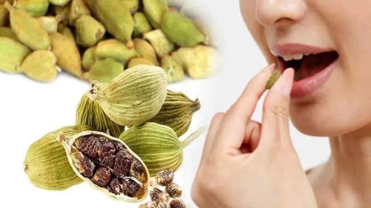 Health Tips Eat Elaichi after dinner Get these healthy benefits 