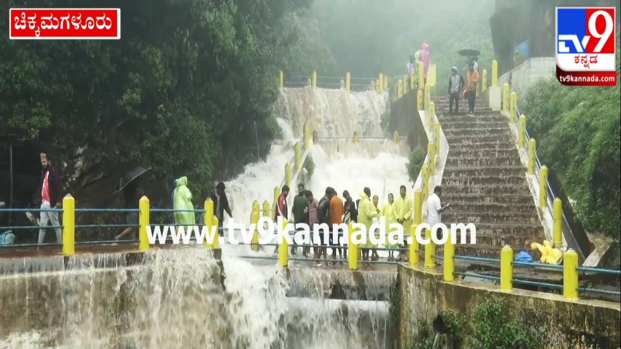 Chikkamagaluru Honnamma Falls: ಚಿಕ್ಕಮಗಳೂರಿನ ಹೊನ್ನಮ್ಮ ಜಲಪಾತಕ್ಕೆ ಜೀವಕಳೆ; ಇಲ್ಲಿದೆ ಅದರ ಝಲಕ್​