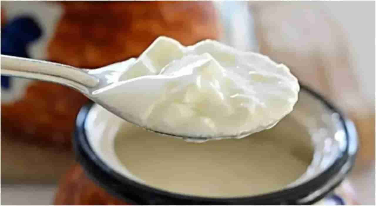 Dhamul Curd Sale: ಧಾಮುಲ್ ಮೊಸರಿಗೆ ಭಾರಿ ಬೇಡಿಕೆ; ಜೂನ್​ನಲ್ಲಿ ಸಾರ್ವಕಾಲಿಕ ಗರಿಷ್ಠ ಮಟ್ಟದಲ್ಲಿ ಮಾರಾಟ