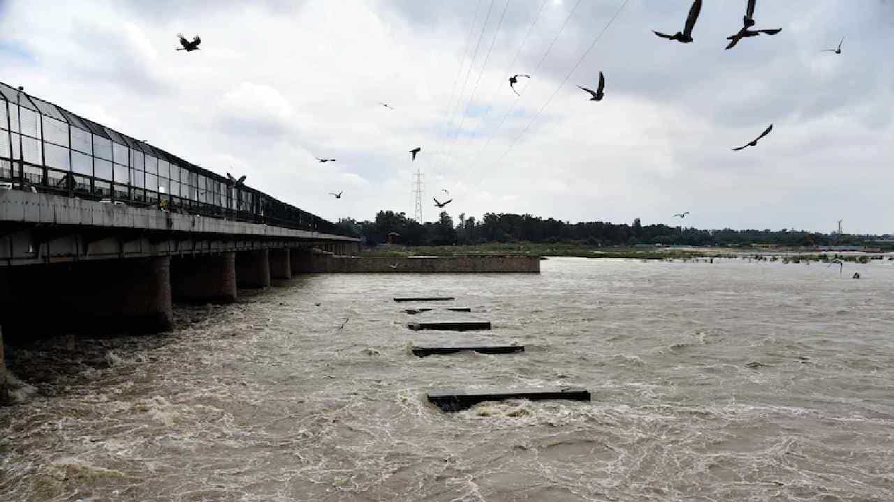 Delhi Rain: ಮಳೆ ಕಡಿಮೆ ಇದ್ದರೂ ದೆಹಲಿಯಲ್ಲಿ ಯಮುನೆ‌ ಉಕ್ಕಿ ಹರಿದಿದ್ದಾದರು ಯಾಕೆ?