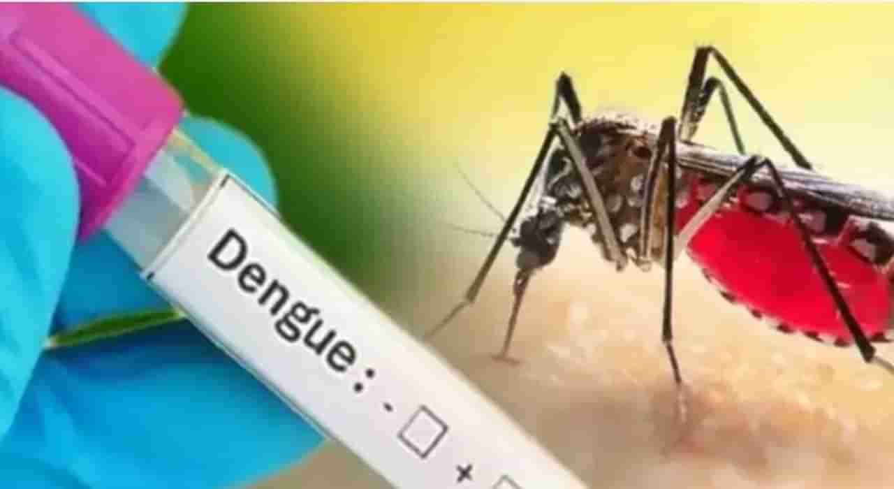 Dengue Fever: ಡೆಂಗ್ಯೂ ಬಾರದಂತೆ ತಡೆಯುವುದು ಹೇಗೆ? ಸೋಂಕಿನ ಲಕ್ಷಣ, ಚಿಕಿತ್ಸೆ ಬಗ್ಗೆ ಇಲ್ಲಿದೆ ವಿವರ