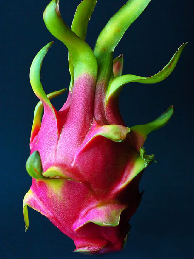 Dragon Fruit ಡ್ರ್ಯಾಗನ್ ಹಣ್ಣಿನ ಆರೋಗ್ಯ ಪ್ರಯೋಜನಗಳು Kannada News