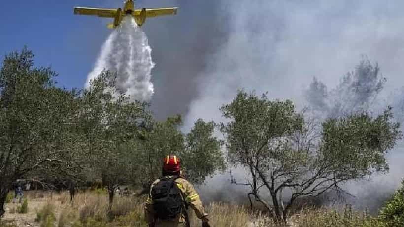 Plane Crash: ಗ್ರೀಸ್ನ ಕಾಡ್ಗಿಚ್ಚು ನಂದಿಸಲು ಬಂದಿದ್ದ ವಿಮಾನ ಪತನ, ಇಬ್ಬರು ಪೈಲಟ್ಗಳು ಸಾವು
