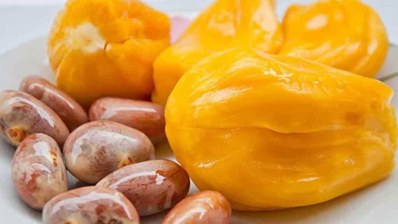 Jackfruit seeds health benefits : ಹಲಸಿನ ಬೀಜದಿಂದ ಅದ್ಭುತ ಆರೋಗ್ಯ ಪ್ರಯೋಜನ, ಇಲ್ಲಿದೆ ನೋಡಿ