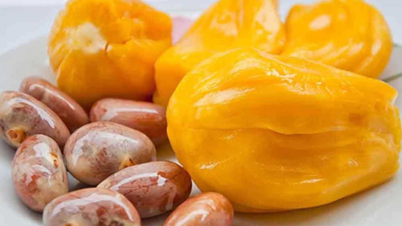 Jackfruit seeds health benefits : ಹಲಸಿನ ಬೀಜದಿಂದ ಅದ್ಭುತ ಆರೋಗ್ಯ ಪ್ರಯೋಜನ, ಇಲ್ಲಿದೆ ನೋಡಿ