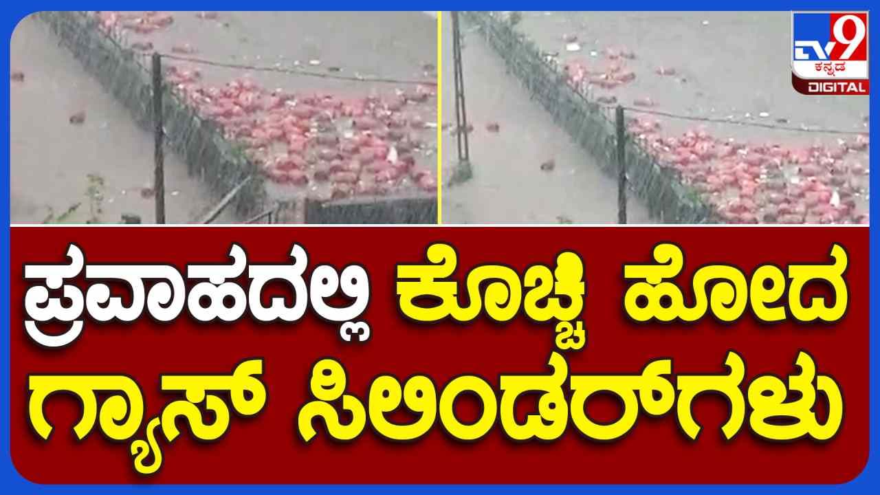 Video: ಗುಜರಾತ್​ನಲ್ಲಿ ಭಾರೀ ಮಳೆ: ಕೊಚ್ಚಿಹೋದ ನೂರಾರು ಗ್ಯಾಸ್ ಸಿಲಿಂಡರ್​