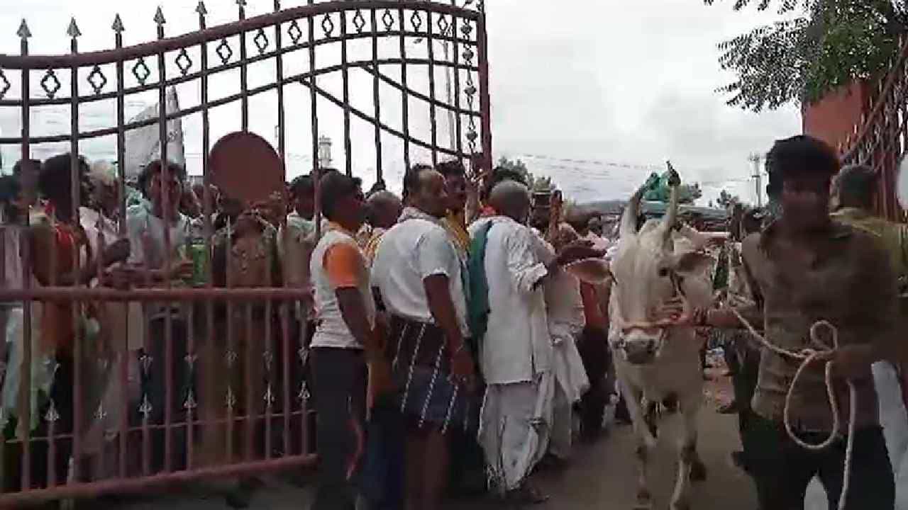 ಗದಗ: ಸಿಂಜೆಂಟಾ ವಿರುದ್ಧ ರೈತರ ವಿನೂತನ ಪ್ರತಿಭಟನೆ, ಸೂರ್ಯಕಾಂತಿ ಎಸ್ಬಿ-293 ಹೈಬ್ರಿಡ್ ಬೀಜ ಮಾರಾಟಕ್ಕೆ ತಡೆ ಗದಗ: ಸಿಂಜೆಂಟಾ ವಿರುದ್ಧ ರೈತರ ವಿನೂತನ ಪ್ರತಿಭಟನೆ, ಸೂರ್ಯಕಾಂತಿ ಎಸ್ಬಿ-293 ಹೈಬ್ರಿಡ್ ಬೀಜ ಮಾರಾಟಕ್ಕೆ ತಡೆ