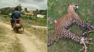 ಹಾಸನ: ಮಲಗಿದ್ದಲ್ಲೇ ನಿಗೂಢವಾಗಿ ಸಾವನ್ನಪ್ಪಿದ ಉತ್ತರ ಪ್ರದೇಶ ಮೂಲದ ಯುವಕರು