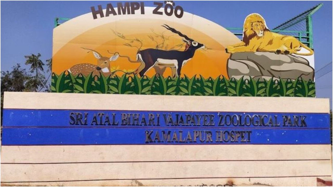 Hampi Zoo: ಹಂಪಿ ಮೃಗಾಲಯದಲ್ಲಿ ಶೀಘ್ರದಲ್ಲೇ ರಾತ್ರಿ ಸಫಾರಿ; ರಾಜ್ಯದಲ್ಲೇ ಮೊದಲು Hampi Zoo: ಹಂಪಿ ಮೃಗಾಲಯದಲ್ಲಿ ಶೀಘ್ರದಲ್ಲೇ ರಾತ್ರಿ ಸಫಾರಿ; ರಾಜ್ಯದಲ್ಲೇ ಮೊದಲು