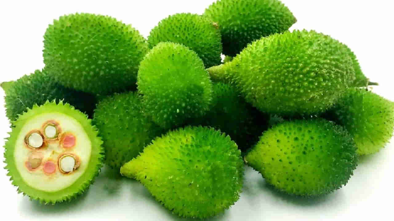 Kantola: ಮಾಡ ಹಾಗಲಕಾಯಿಯ ಅದ್ಭುತ ಆರೋಗ್ಯ ಪ್ರಯೋಜನಗಳು ಇಲ್ಲಿವೆ