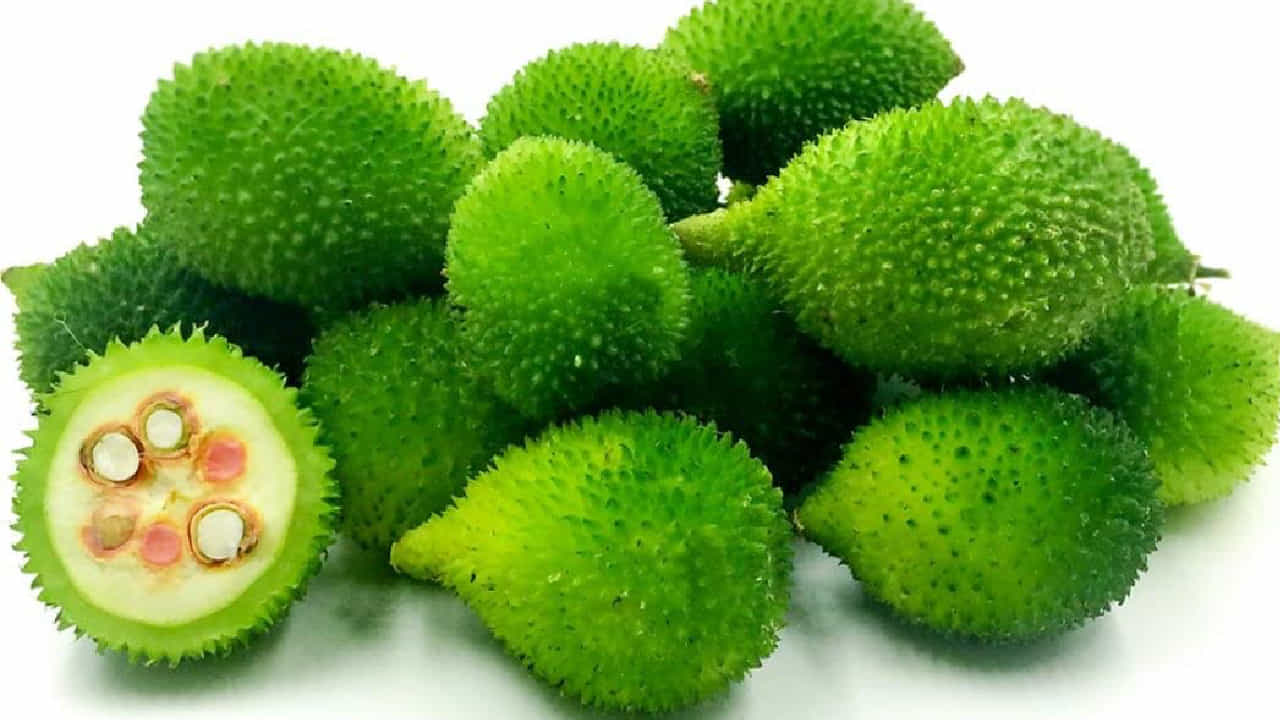 Kantola: ಮಾಡ ಹಾಗಲಕಾಯಿಯ ಅದ್ಭುತ ಆರೋಗ್ಯ ಪ್ರಯೋಜನಗಳು ಇಲ್ಲಿವೆ