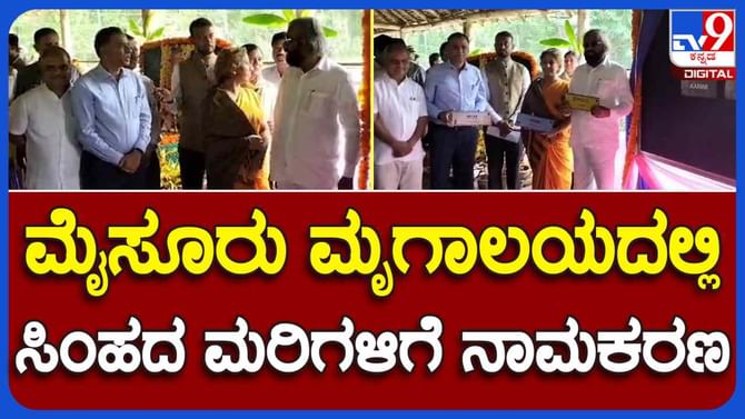 ಮೈಸೂರು ಮೃಗಾಲಯಕ್ಕೆ ಅರಣ್ಯ ಸಚಿವ ಈಶ್ವರ ಖಂಡ್ರೆ ಭೇಟಿ: ಸಿಂಹದ ಮರಿಗಳಿಗೆ ನಾಮಕರಣ