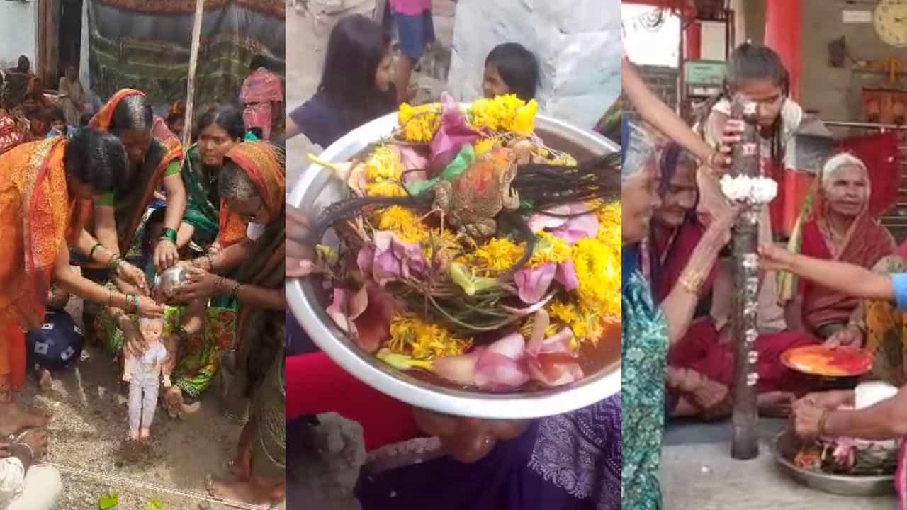 ಕಲಬುರಗಿ, ಗದಗದಲ್ಲಿ ಬರದ ಛಾಯೆ; ಗೊಂಬೆ, ಕತ್ತೆ, ಕಪ್ಪೆ ಮದುವೆಯಂತಹ ಆಚರಣೆ ಮೂಲಕ ಮಳೆಗಾಗಿ ಪ್ರಾರ್ಥನೆ ಕಲಬುರಗಿ, ಗದಗದಲ್ಲಿ ಬರದ ಛಾಯೆ; ಗೊಂಬೆ, ಕತ್ತೆ, ಕಪ್ಪೆ ಮದುವೆಯಂತಹ ಆಚರಣೆ ಮೂಲಕ ಮಳೆಗಾಗಿ ಪ್ರಾರ್ಥನೆ