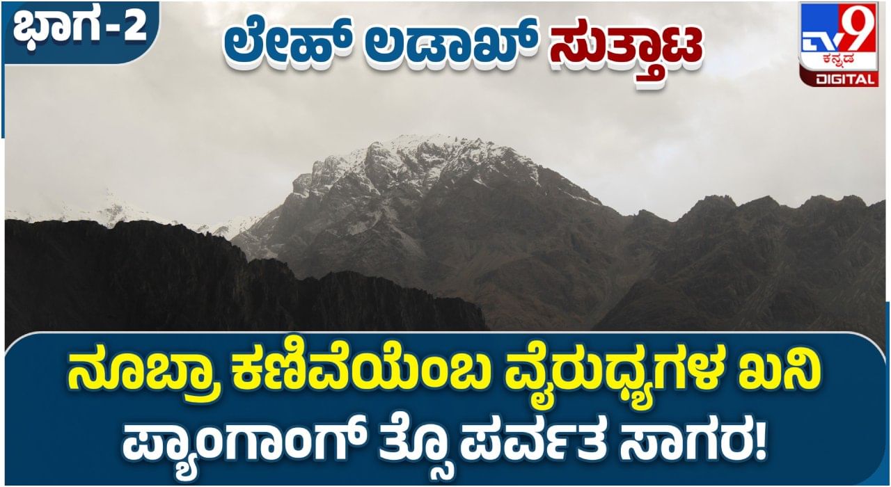 Leh Ladakh: ನೂಬ್ರಾ ಕಣಿವೆಯೆಂಬ ವೈರುಧ್ಯಗಳ ಖನಿ; ಪ್ಯಾಂಗಾಂಗ್ ತ್ಸೊ ಪರ್ವತ ಸಾಗರ!