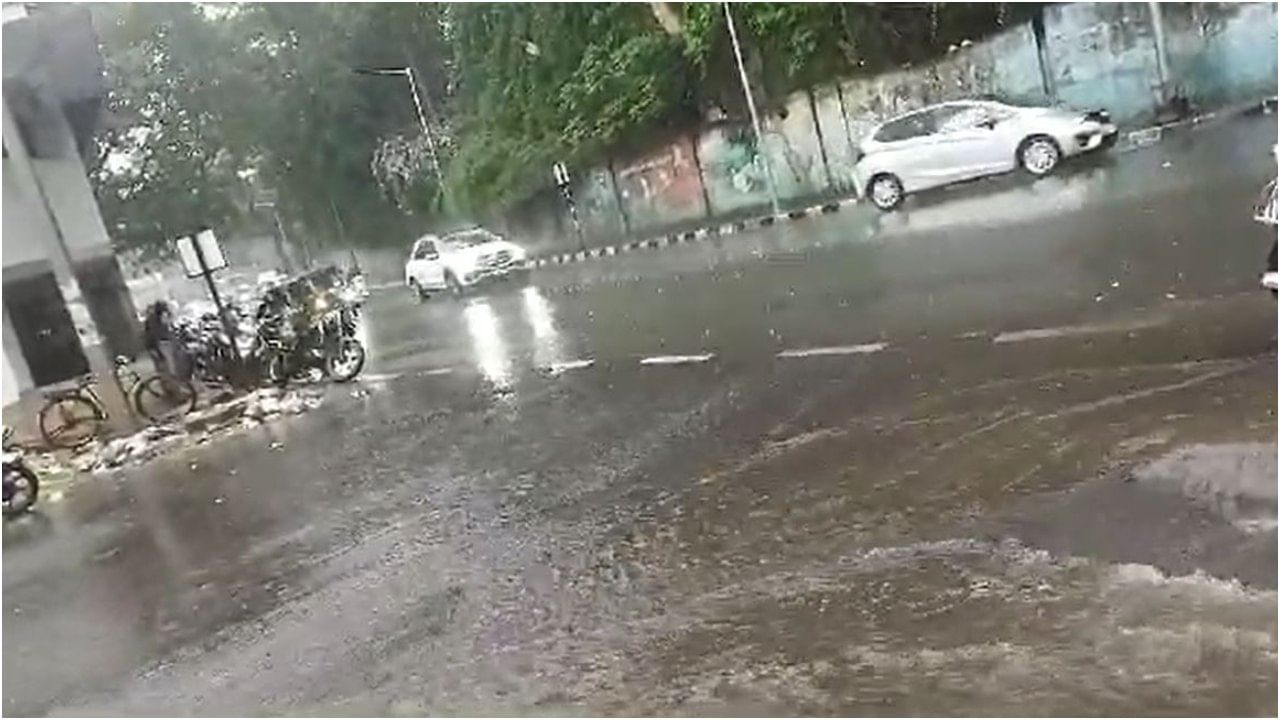 Bengaluru Rains: ಬೆಂಗಳೂರಿನ ಹಲವೆಡೆ ಬಿರುಗಾಳಿ ಸಹಿತ ಮಳೆ; ಬನ್ನೇರುಘಟ್ಟ ಪಾರ್ಕ್​ನಲ್ಲಿ ಪ್ರವಾಸಿಗರ ಪರದಾಟ