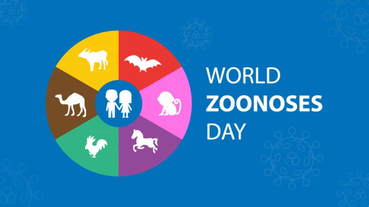 World Zoonoses Day 2023: ವಿಶ್ವ ಝೂನೋಸಸ್ ದಿನವನ್ನು ಏಕೆ ಆಚರಿಸಲಾಗುತ್ತದೆ? ಈ ದಿನದ ಇತಿಹಾಸ, ಉದ್ದೇಶದ ಬಗ್ಗೆ ತಿಳಿಯಿರಿ World Zoonoses Day 2023: ವಿಶ್ವ ಝೂನೋಸಸ್ ದಿನವನ್ನು ಏಕೆ ಆಚರಿಸಲಾಗುತ್ತದೆ? ಈ ದಿನದ ಇತಿಹಾಸ, ಉದ್ದೇಶದ ಬಗ್ಗೆ ತಿಳಿಯಿರಿ