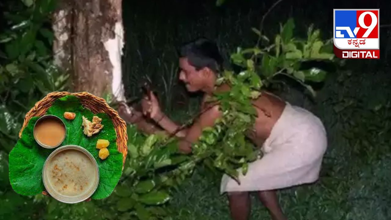 Aati Amavasya 2023: ತುಳುನಾಡಿನಲ್ಲಿ ಆಟಿ ಅಮವಾಸ್ಯೆ ಸಂಭ್ರಮ, ಪಾಲೆ ಕಷಾಯ ಏಕೆ ಸೇವಿಸಬೇಕು? ಅದರ ಹಿನ್ನೆಲೆ ಏನು? Aati Amavasya 2023: ತುಳುನಾಡಿನಲ್ಲಿ ಆಟಿ ಅಮವಾಸ್ಯೆ ಸಂಭ್ರಮ, ಪಾಲೆ ಕಷಾಯ ಏಕೆ ಸೇವಿಸಬೇಕು? ಅದರ ಹಿನ್ನೆಲೆ ಏನು?