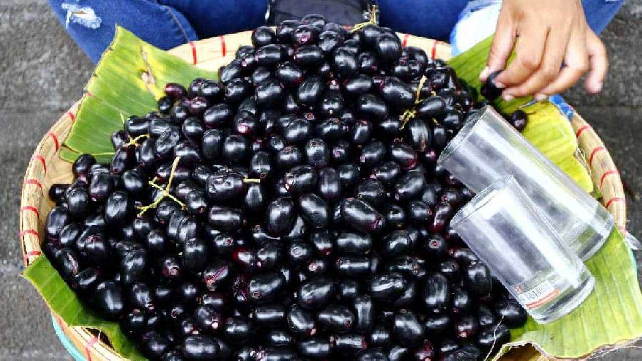 Jamun: ಮಳೆಗಾಲದಲ್ಲಿ ಈ ಹಣ್ಣನ್ನು ಏಕೆ ಸೇವಿಸಬೇಕು! ಇಲ್ಲಿವೆ 5 ಕಾರಣಗಳು Jamun: ಮಳೆಗಾಲದಲ್ಲಿ ಈ ಹಣ್ಣನ್ನು ಏಕೆ ಸೇವಿಸಬೇಕು! ಇಲ್ಲಿವೆ 5 ಕಾರಣಗಳು