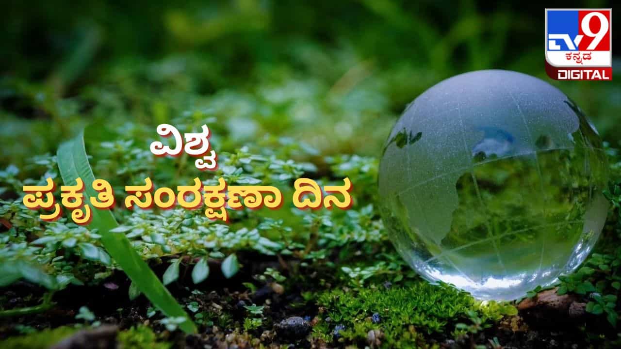 World Nature Conservation Day 2023: ವಿಶ್ವ ಪ್ರಕೃತಿ ಸಂರಕ್ಷಣಾ ದಿನವನ್ನು ಆಚರಿಸುವ ಉದ್ದೇಶವೇನು? ಪರಿಸರದ ರಕ್ಷಣೆ ಹೇಗೆ? World Nature Conservation Day 2023: ವಿಶ್ವ ಪ್ರಕೃತಿ ಸಂರಕ್ಷಣಾ ದಿನವನ್ನು ಆಚರಿಸುವ ಉದ್ದೇಶವೇನು? ಪರಿಸರದ ರಕ್ಷಣೆ ಹೇಗೆ?