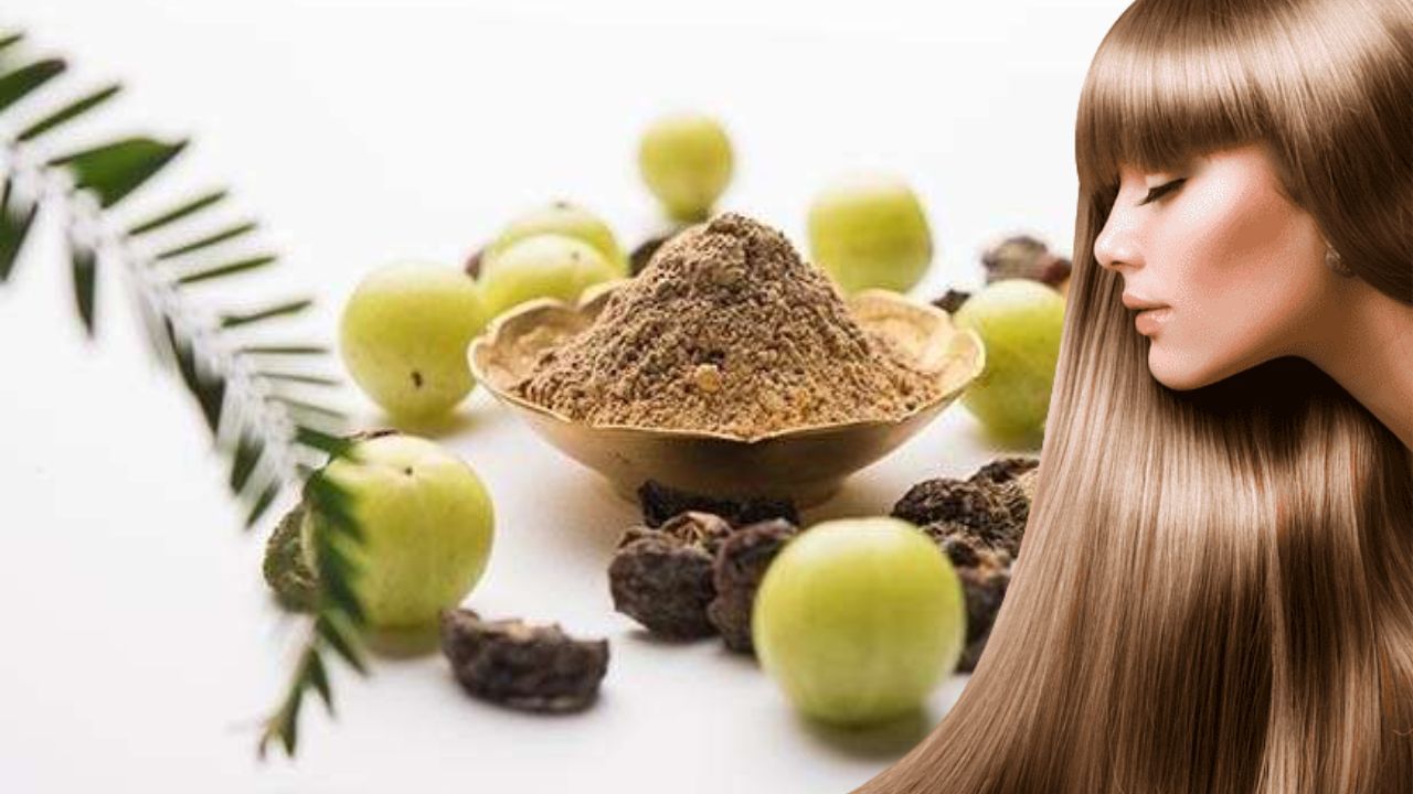 Amla for hair: ಕೂದಲಿನ ಆರೈಕೆ ಹೇಗೆ ಎಂದು ಯೋಚಿಸುತ್ತಿದ್ದೀರಾ? ಹಾಗಾದರೆ ನೆಲ್ಲಿಕಾಯಿ ಎಣ್ಣೆ ಬಳಸಿ