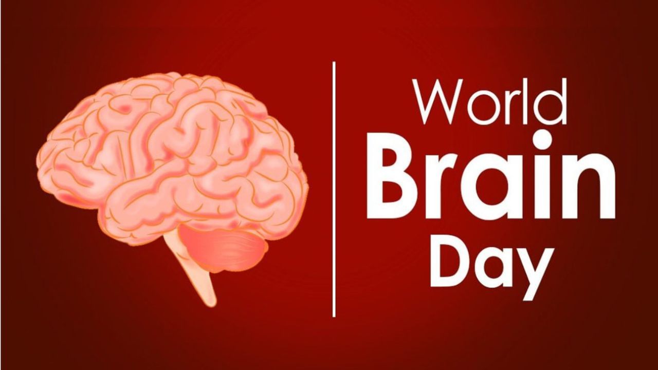 World Brain Day 2023: ವಿಶ್ವ ಮೆದುಳಿನ ದಿನ ಏಕೆ ಆಚರಿಸಲಾಗುತ್ತದೆ? ಮೆದುಳಿನ ಆರೋಗ್ಯಕ್ಕೆ ಇಲ್ಲಿದೆ ಸಲಹೆ World Brain Day 2023: ವಿಶ್ವ ಮೆದುಳಿನ ದಿನ ಏಕೆ ಆಚರಿಸಲಾಗುತ್ತದೆ? ಮೆದುಳಿನ ಆರೋಗ್ಯಕ್ಕೆ ಇಲ್ಲಿದೆ ಸಲಹೆ