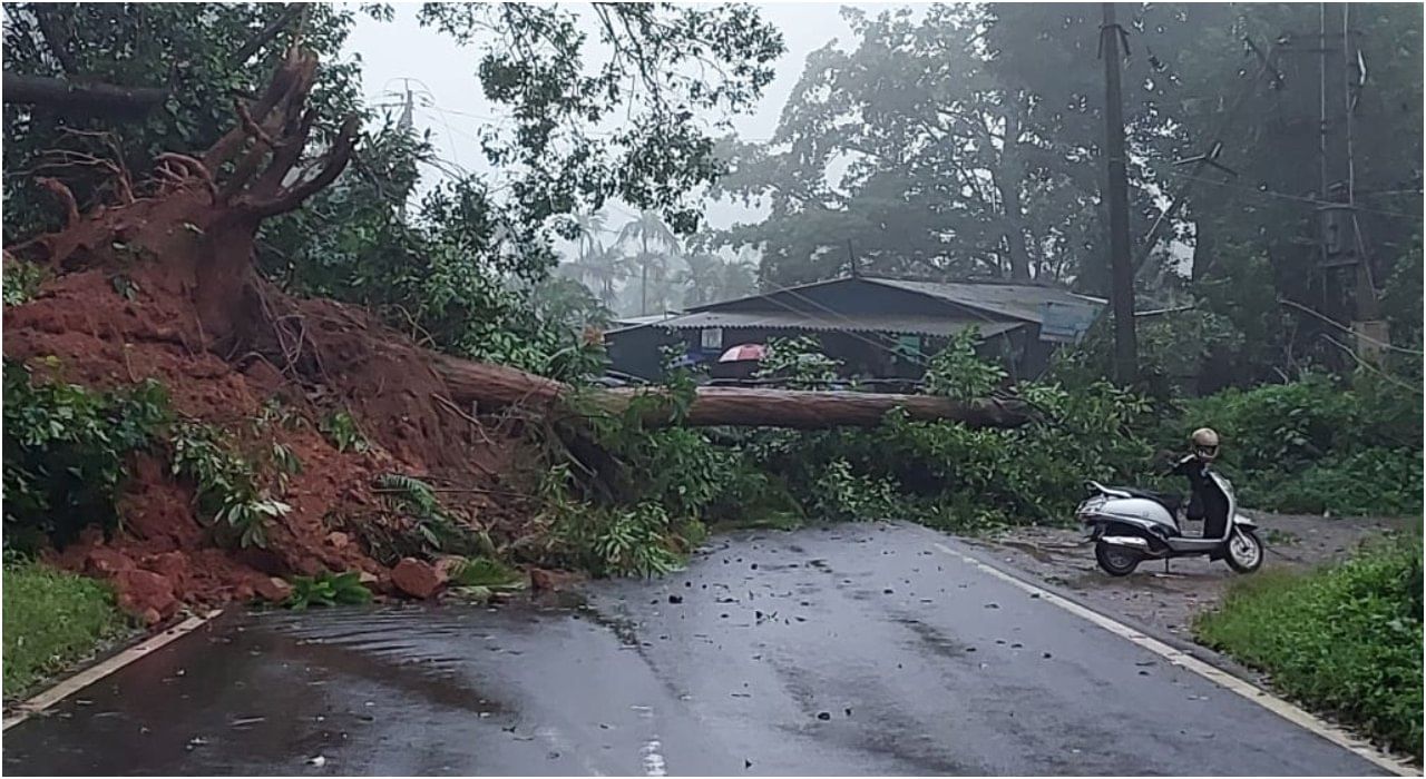 Kodagu Rains: ಹೆದ್ದಾರಿ ಮೇಲೆ ಕುಸಿದು ಬಿದ್ದ ಗುಡ್ಡ, ಬೃಹತ್ ಮರ; ಮಡಿಕೇರಿ ಮಂಗಳೂರು ಮಾರ್ಗದಲ್ಲಿ ವಾಹನ ಸಂಚಾರ ಸ್ಥಗಿತ Kodagu Rains: ಹೆದ್ದಾರಿ ಮೇಲೆ ಕುಸಿದು ಬಿದ್ದ ಗುಡ್ಡ, ಬೃಹತ್ ಮರ; ಮಡಿಕೇರಿ ಮಂಗಳೂರು ಮಾರ್ಗದಲ್ಲಿ ವಾಹನ ಸಂಚಾರ ಸ್ಥಗಿತ